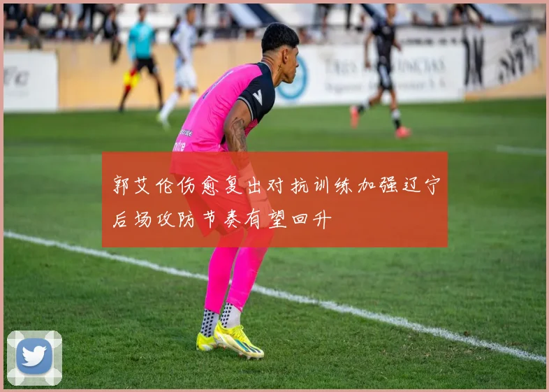 郭艾伦伤愈复出对抗训练加强辽宁后场攻防节奏有望回升