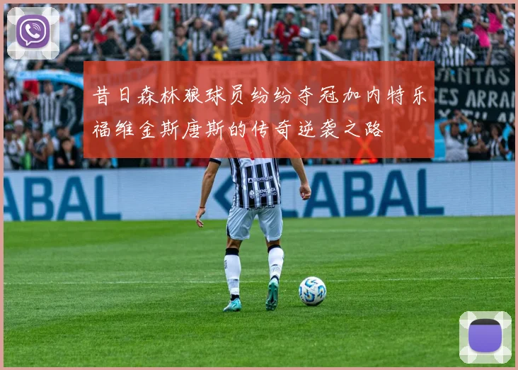 昔日森林狼球员纷纷夺冠加内特乐福维金斯唐斯的传奇逆袭之路