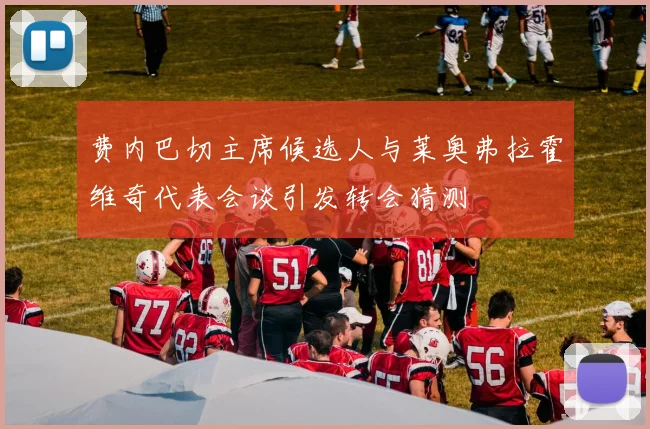 费内巴切主席候选人与莱奥弗拉霍维奇代表会谈引发转会猜测