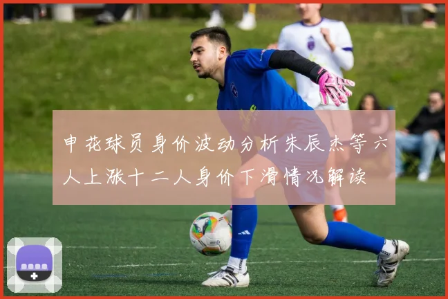 申花球员身价波动分析朱辰杰等六人上涨十二人身价下滑情况解读